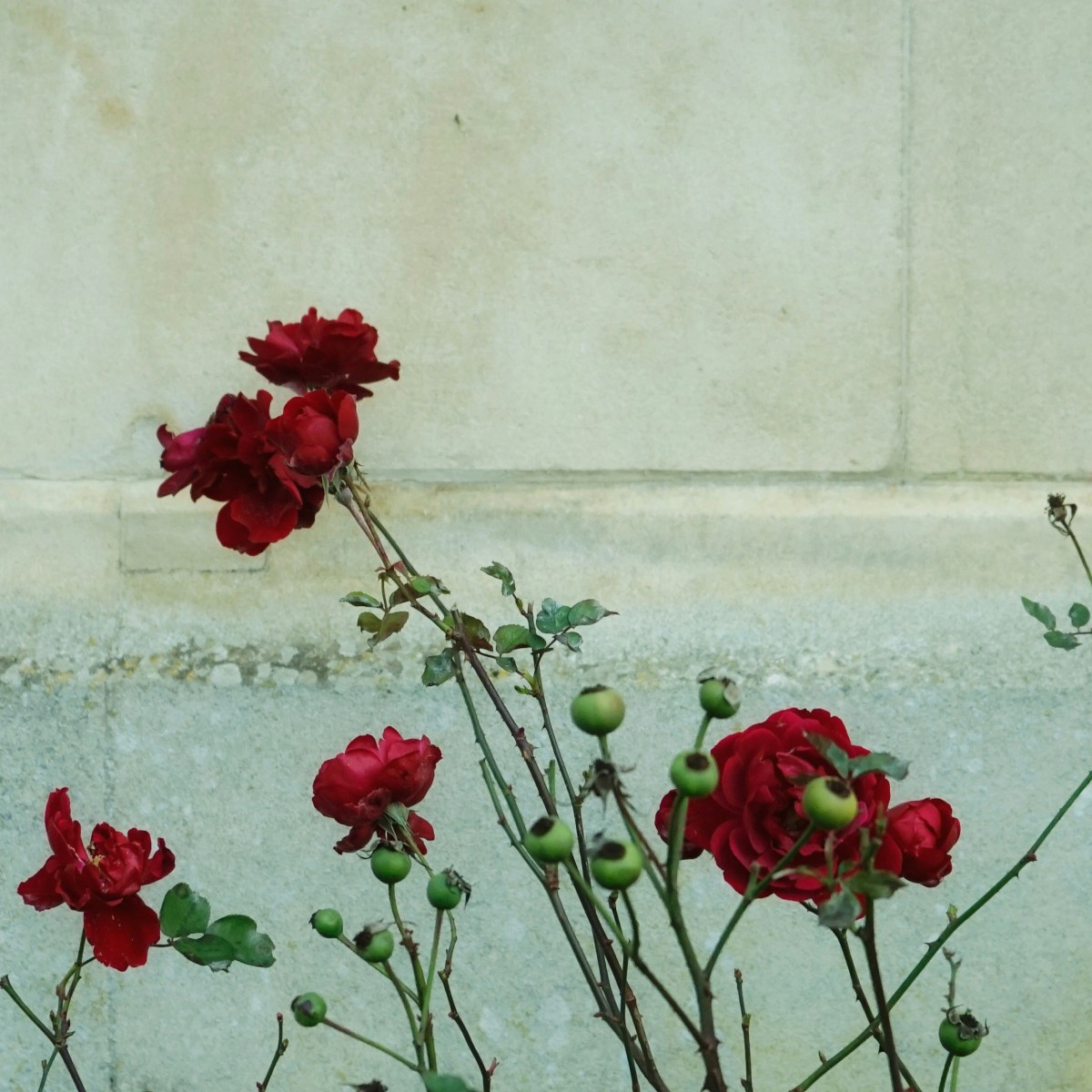 Hold Me in Love, Hide Me in God | Chinwendu Queenette&nbsp;Nwangwa