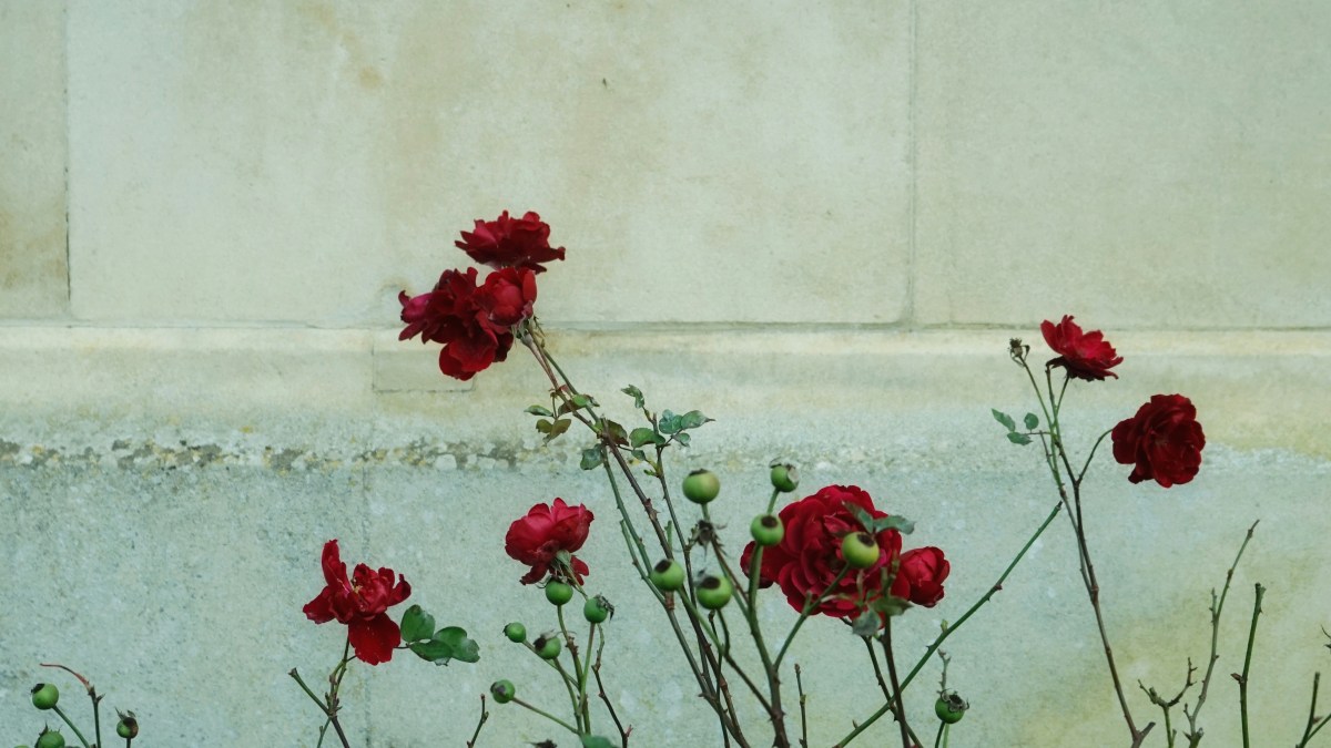 Hold Me in Love, Hide Me in God | Chinwendu Queenette&nbsp;Nwangwa